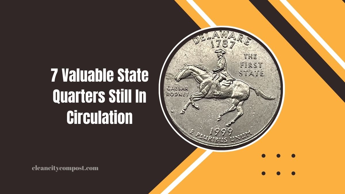 7 Valuable State Quarters Still In Circulation That Could Change Your Financial Future