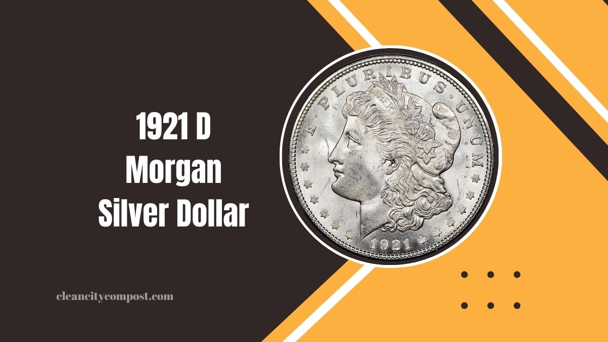 1921 D Morgan Silver Dollar- The Final-Year Coin Every Collector Dreams Of!